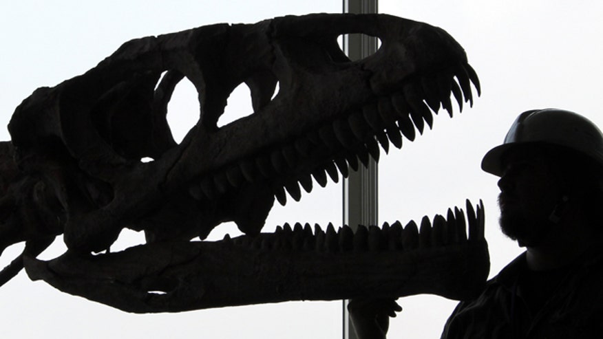 Dinosaur Skeleton Silhouette